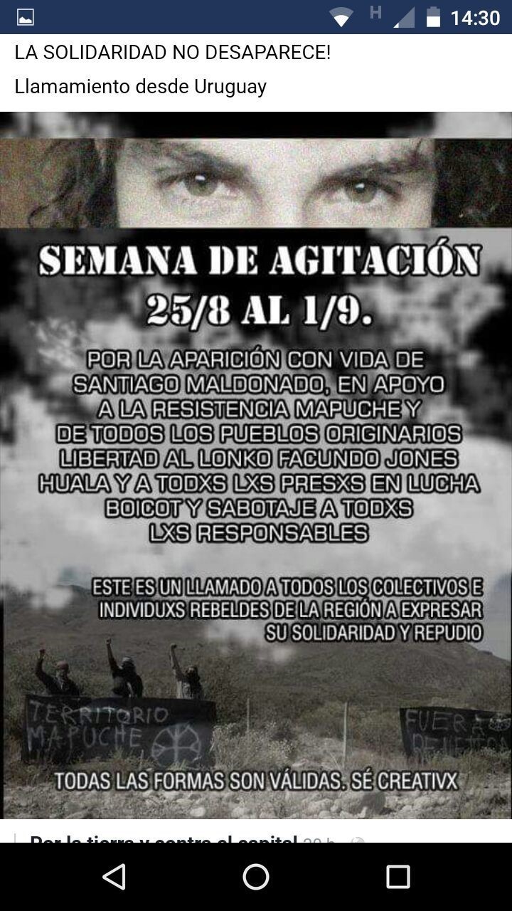 Caso Santiago Maldonado: preocupación por ataques en sedes diplomáticas y llamados a la "agitación" Caso Santiago Maldonado: preocupación por ataques en sedes diplomáticas y llamados a la "agitación"