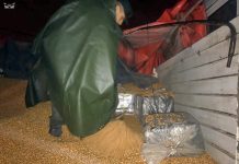 Córdoba: Incautan 264 kilos de coca ocultos en un camión que transportaba maíz
