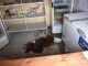 Argentina salvaje: Asesinan a una kiosquera en Rosario por no fiarles dos cervezas