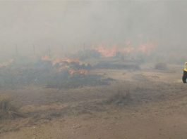 Allanan estancia en Pampa de Achala por quemas intencionales que llegaron a Parque Nacional